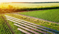 agriculture, solar