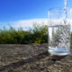 water filling up a glass