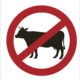 prohibition of cows sign