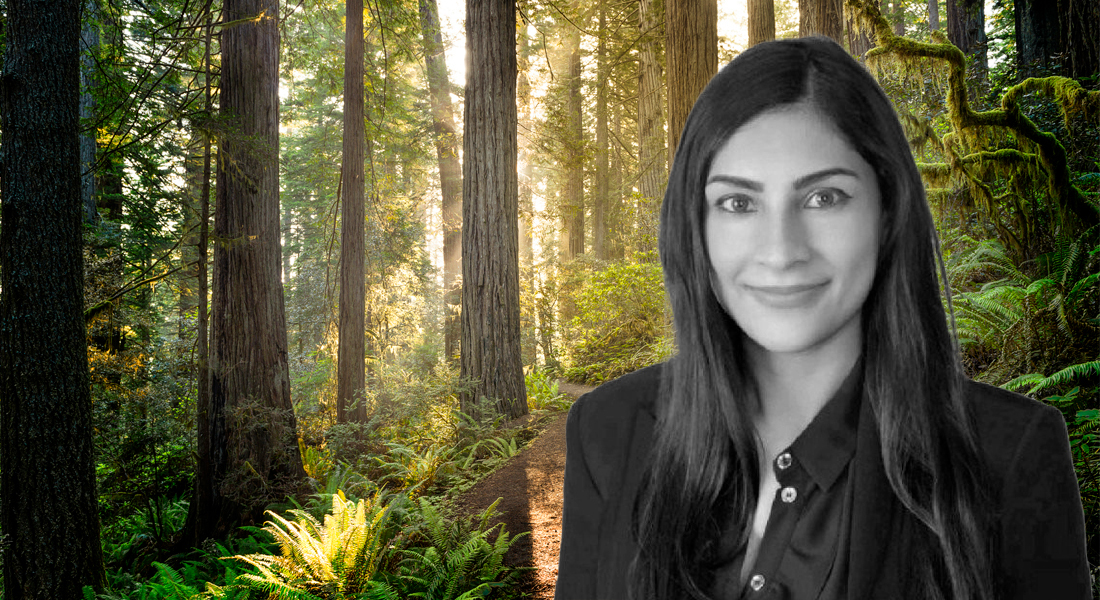 'An education gap that needs to be bridged': bfinance's Gosrani on natural capital