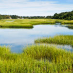 In brief: Natural capital on the agenda for UK family offices Wetlands