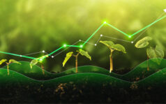 Green transition, green trend line