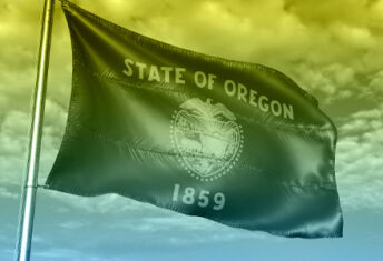 Photo of the Oregon state flag.