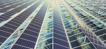 Greenhouse with mounted solar panels