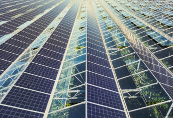 Greenhouse with mounted solar panels