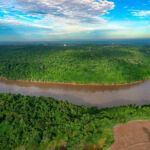 Astarte launches Impact Forestry Fund II with $80m banked Paraguay forest