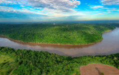 Astarte launches Impact Forestry Fund II with $80m banked Paraguay forest