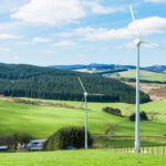 Wind energy and forestry