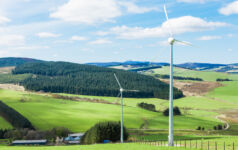 Wind energy and forestry