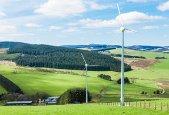 S2G report warns of ‘capital concentration and correlated risk’ in energy transition market Wind energy and forestry