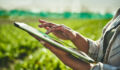 In brief: Catalyst Fund raises $30m for climate tech in Africa