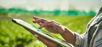 Image of a person on a tablet walking through an agricultural field.
