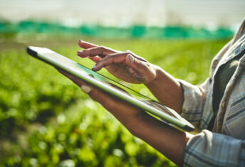 In brief: Catalyst Fund raises $30m for climate tech in Africa Image of a person on a tablet walking through an agricultural field.