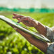 Image of a person on a tablet walking through an agricultural field.