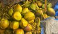 ADM closes $48m Indonesia fund amid ‘challenging fundraising’ Yellow coconuts