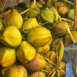 ADM closes $48m Indonesia fund amid โchallenging fundraisingโ Yellow coconuts