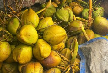 ADM closes $48m Indonesia fund amid โchallenging fundraisingโ Yellow coconuts