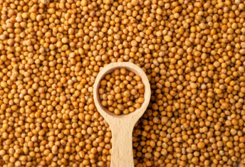 Mustard Seed targets โฌ300m final close by year-end