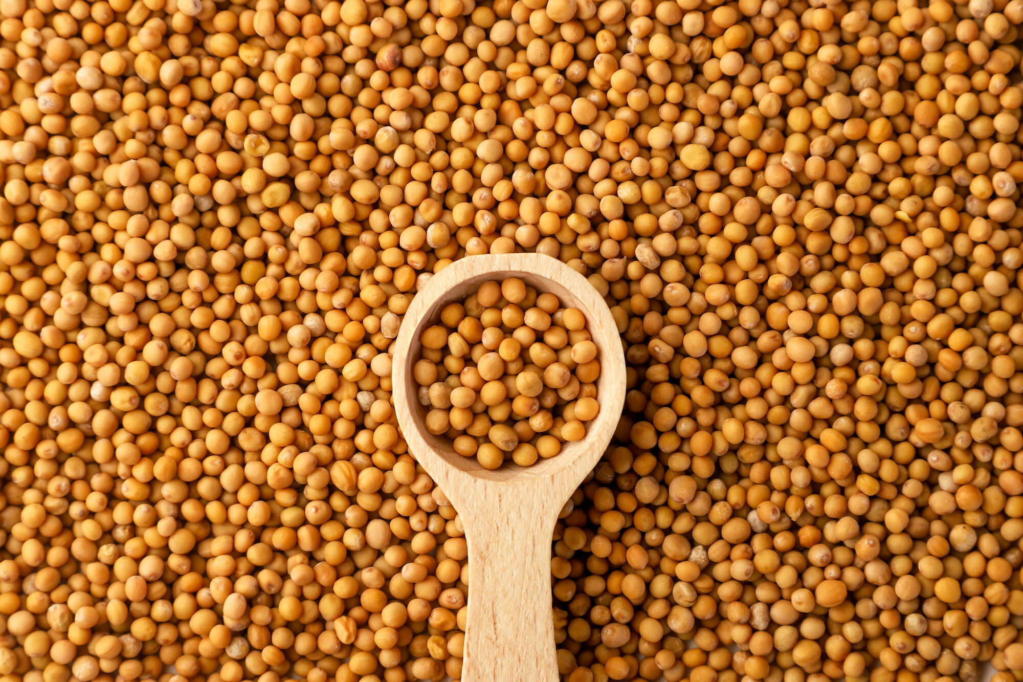 Mustard Seed targets €300m final close by year-end