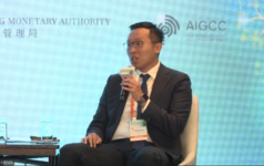 HKMA on supply chain resilience, DFI partnerships and climate VC Philip Wong HKMA